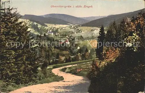 Oberrittersgruen Erzgebirge Panorama Waldpartie Kat. Rittersgruen