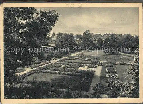 Freiberg Sachsen Rosarium im Johannispark Kat. Freiberg