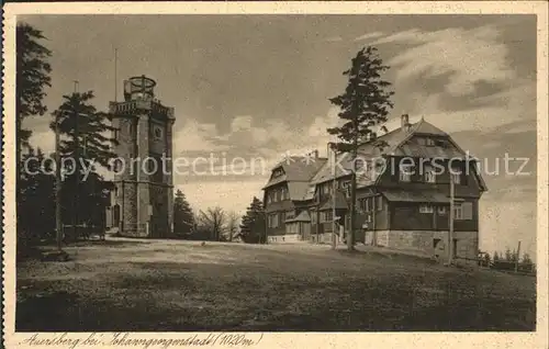 Johanngeorgenstadt Berggasthof Auersberg Aussichtsturm Kupfertiefdruck Kat. Johanngeorgenstadt