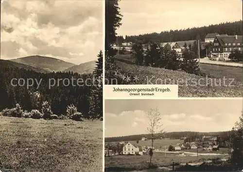 Steinbach Johanngeorgenstadt Teilansichten Waldpartie Kat. Johanngeorgenstadt