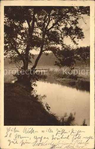 Zwickau Sachsen Partie am Bach Kat. Zwickau