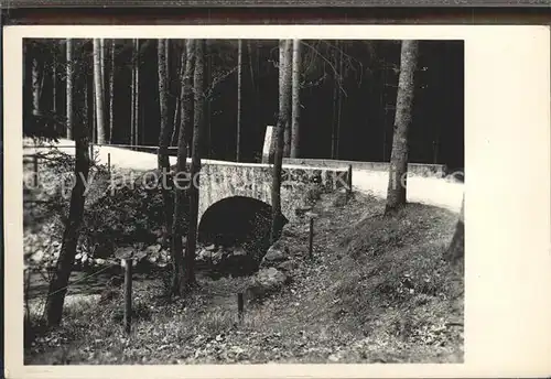 Zwickau Sachsen Partie im Wald mit Bruecke Kat. Zwickau