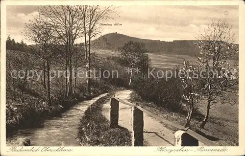 Oberschlema Erzgebirge Flossgraben Promenade Gleesberg Kat. Bad Schlema