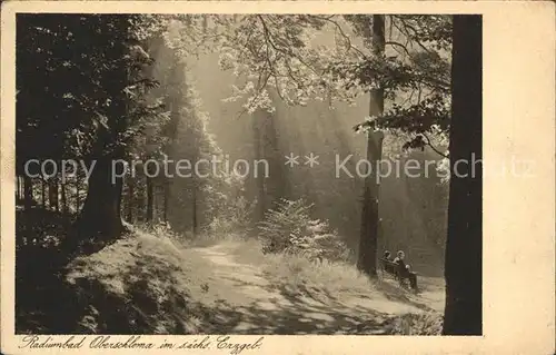 Oberschlema Erzgebirge Poetenweg Waldpartie Kat. Bad Schlema