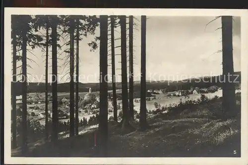 Rautenkranz Vogtland Hoehenkurort mit Ferienheim Muldenhaus Waldpartie Kat. Morgenroethe Rautenkranz