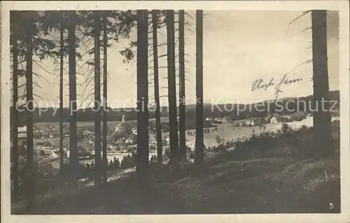 Rautenkranz Vogtland Hoehenkurort mit Ferienheim Muldenhaus Waldpartie Kat. Morgenroethe Rautenkranz