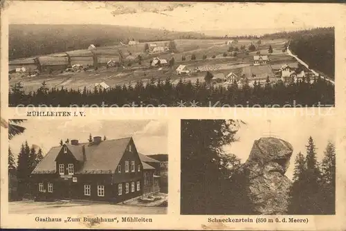 Muehlleithen Klingenthal Gasthaus Zum Buschhaus Muehlleiten Schneckenstein Kat. Klingenthal Sachsen