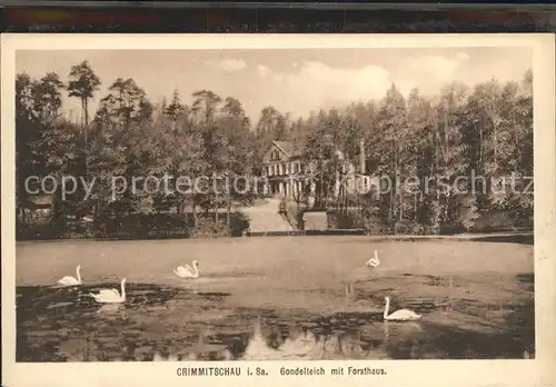 Crimmitschau Gontelteich mit Forsthaus Kat. Crimmitschau