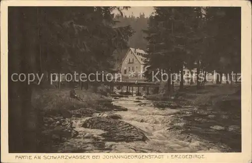 Johanngeorgenstadt Partie am Schwarzwasser Kat. Johanngeorgenstadt