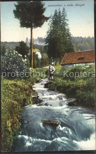 Antonsthal Erzgebirge  Kat. Breitenbrunn Erzgebirge