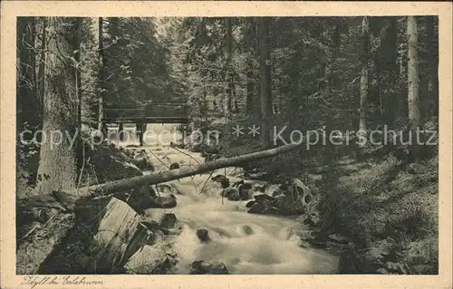 Breitenbrunn Erzgebirge Gasthof Schommerfrishce Taeumerhaus Erlabrunn Kat. Breitenbrunn Erzgebirge