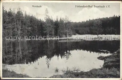 Bad Brambach Waldteich Kat. Bad Brambach