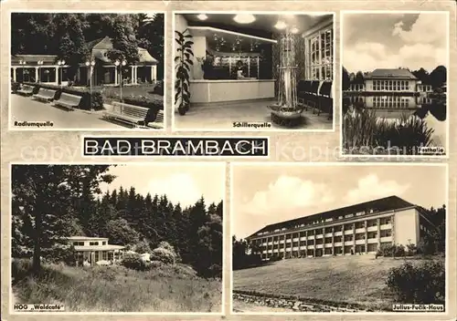 Bad Brambach Radiumquelle Schillerquelle Festhalle Julius Fucik Haus HOG Waldcafe Kat. Bad Brambach