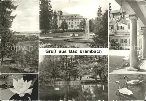Bad Brambach Sanatorium Joliot Curie Haus Saeulengang Schwanenteich Seerose Kat. Bad Brambach