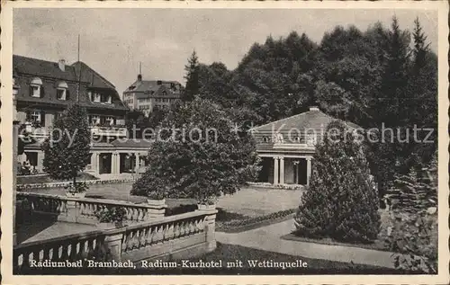 Bad Brambach Radium Kurhotel mit Wettinquelle Mineralbad Kat. Bad Brambach