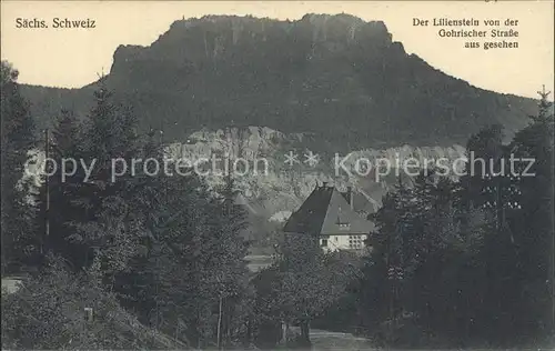 Gohrisch Blick zum Lilienstein Felsen Elbsandsteingebirge Kat. Gohrisch