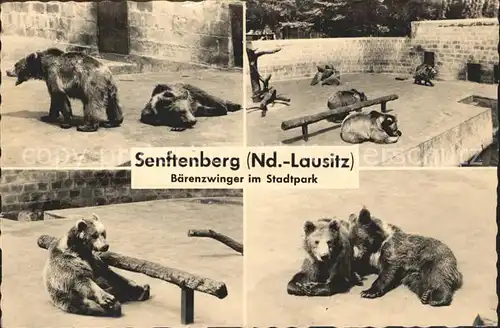 Senftenberg Niederlausitz Stadtpark Baerenzwinger Kat. Senftenberg