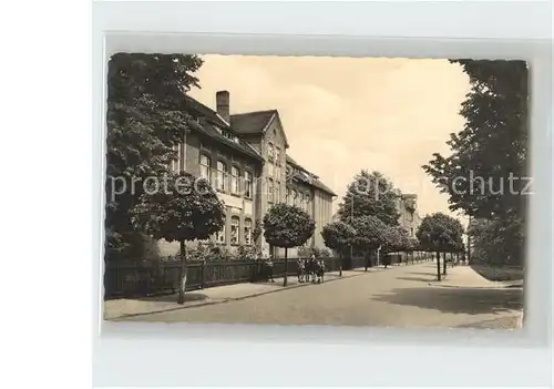 Falkenberg Elster Friedrichstrasse und Zentralschule Kat. Falkenberg Elster