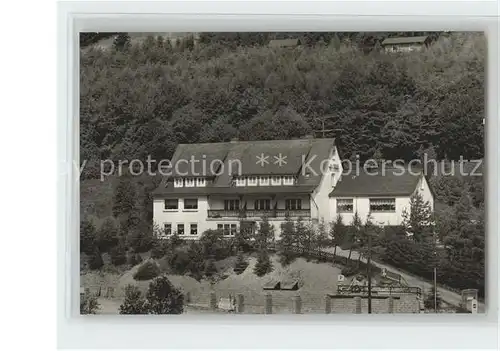 Willingen Sauerland Hotel  Pension Laerchenhof Kat. Willingen (Upland)