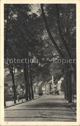 Berggiesshuebel Lindenallee Hauptstrasse  Kat. Bad Gottleuba Berggiesshuebel