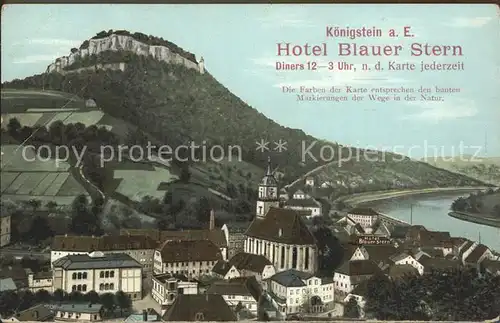 Koenigstein Saechsische Schweiz Hotel Blauer Stern  Kat. Koenigstein Saechsische Schweiz