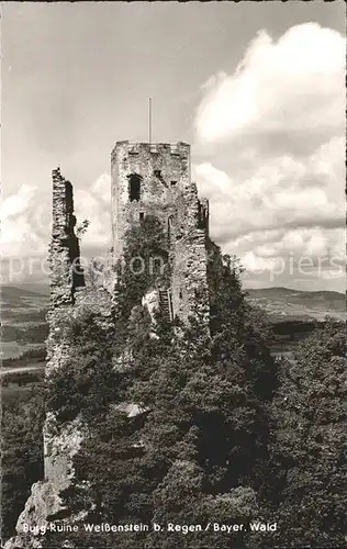 Regen Burgruine Weissenstein Kat. Regen