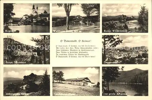 Regen Kirche Waldhaus Ruine Weissenstein Sanatorium Hausstein Deggendorf Arberblick Gr Arbersee Kat. Regen