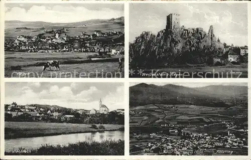 Regen Burgruine Weissenstein Viechtach Koetzting Kat. Regen