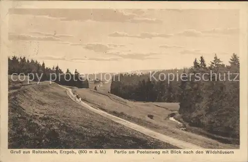 Reitzenhain Erzgebirge Partie am Poetenweg mit Blick nach Wildshaeusern Kat. Marienberg