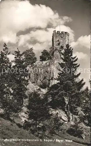 Regen Burg Ruine Weissenstein Kat. Regen