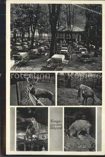 Plauen Vogtland Tierpark Gasthaus Holzmuehle Kat. Plauen