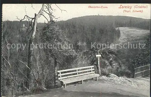 Plauen Vogtland Loreley Charlottenturm Kat. Plauen