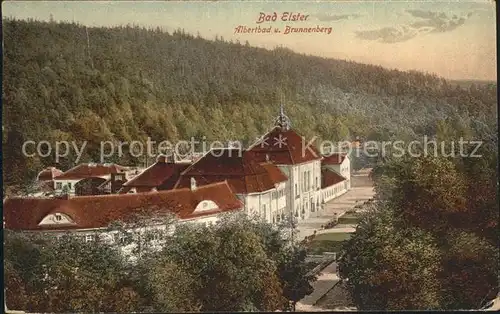Bad Elster Albertbad vom Brunnenberg Kat. Bad Elster