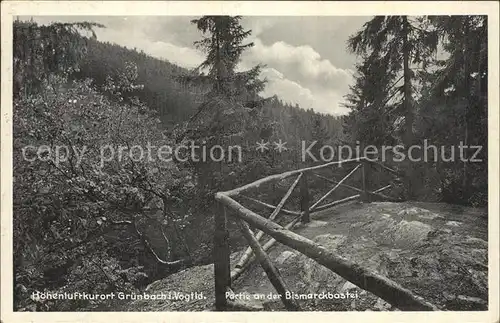 Gruenbach Vogtland Partie an der Bismarckbastei Kat. Gruenbach Vogtland