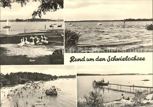 Schwielochsee Zane Gaense Strand Niewisch Bootssteg Jessern Strandpartie Piaskow Bootssteg Kat. Schwielochsee