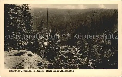 Pockau Schwarzes Pockautal Blick vom Katzenstein Kat. Pockau Floehatal