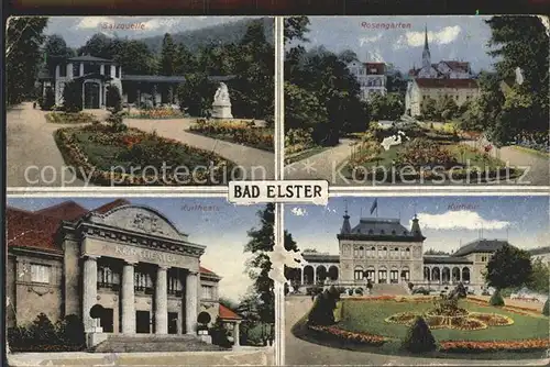 Bad Elster Salzquelle Rosengarten Kurhaus Kurtheater Kat. Bad Elster