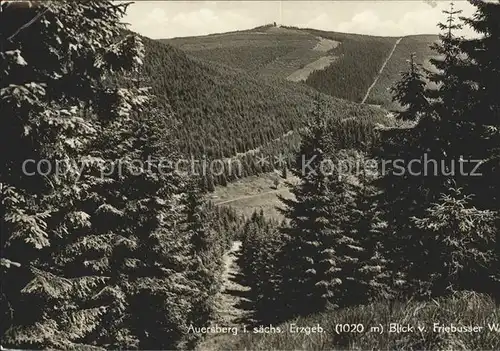 Auersberg Wildenthal Panorama Blick vom Friebusser Weg Erzgebirge Kat. Eibenstock