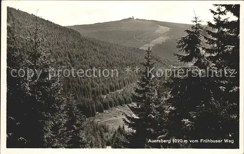 Auersberg Wildenthal Blick vom Fruehbuser Weg Kat. Eibenstock