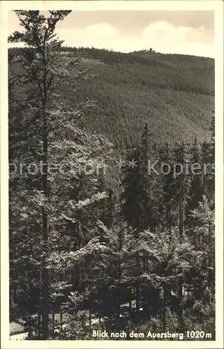 Eibenstock Blick nach dem Auersberg Erzgebirge Kat. Eibenstock