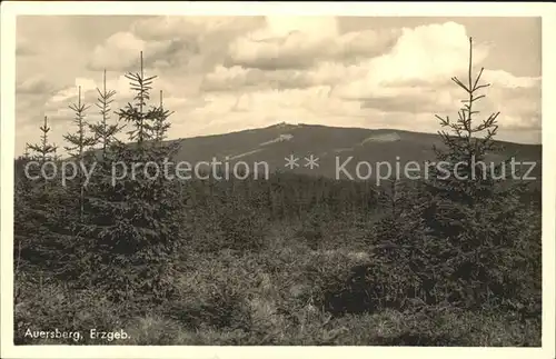 Auersberg Wildenthal Panorama Erzgebirge Kat. Eibenstock