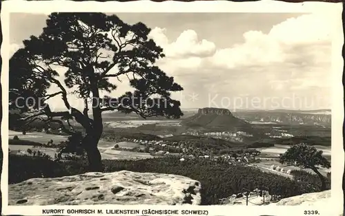 Gohrisch Panorama Hoehenluftkurort mit Lilienstein Elbsandsteingebirge Kat. Gohrisch