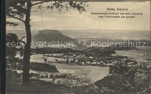 Gohrisch vom Gohrischstein gesehen mit Lilienstein Elbsandsteingebirge Kat. Gohrisch