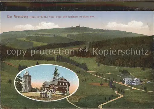Auersberg Wildenthal vom Tal der kleinen Bockau aus Aussichtsturm Unterkunftshaus Kat. Eibenstock