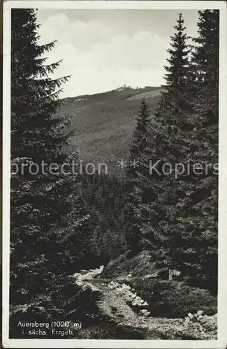 Auersberg Wildenthal Blick vom Waldweg Kat. Eibenstock