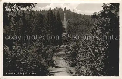 Auersberg Wildenthal Aufstieg zum Aussichtsturm Unterkunftshaus Erzgebirge Kat. Eibenstock