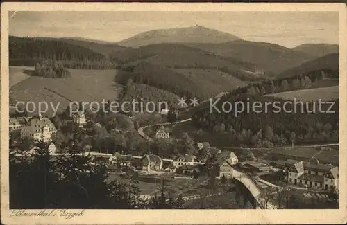 Blauenthal Erzgebirge Teilansicht mit Blick zum Auersberg Aussichtsturm Unterkunftshaus Kupfertiefdruck Kat. Eibenstock
