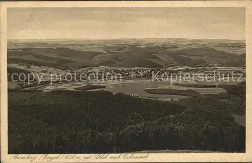 Eibenstock Panorama Blick vom Auersberg Aussichtsturm Unterkunftshaus Kat. Eibenstock