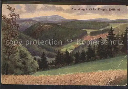 Auersberg Wildenthal Panorama Erzgebirge Kuenstlerkarte Kat. Eibenstock