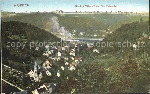 Krippen Bad Schandau Panorama mit Sendigs Villenkolonie Neu Schwandau Kat. Bad Schandau